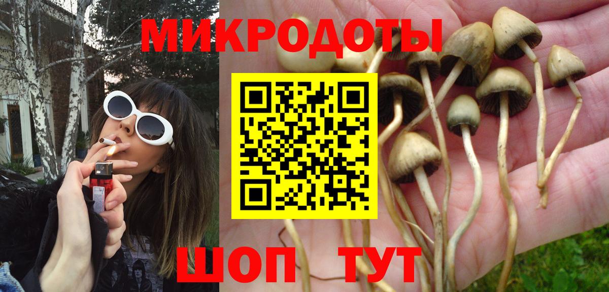 Псилоцибиновые грибы GOLDEN TEACHER  Псилоцибиновые грибы Cubensis  Вход с VPN  Нерюнгри 